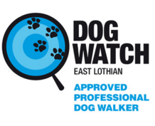 East Lothian approved professional dog walkers